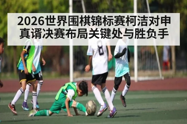 2026世界围棋锦标赛柯洁对申真谞决赛布局关键处与胜负手