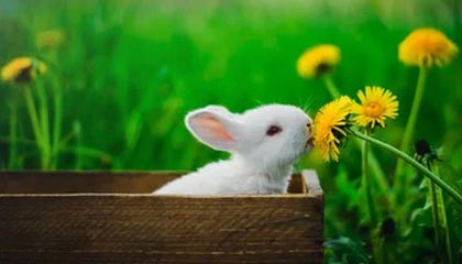 bwin体育-官方:萨卡与阿森纳完成续约 新合同至2031年